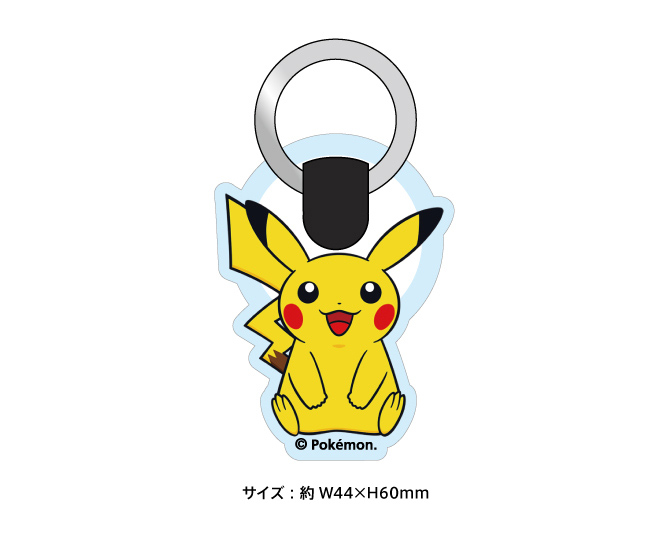 ポケットモンスターソードの特典の画像②